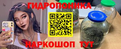 ECSTASY Гатчина