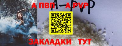 ECSTASY Гатчина