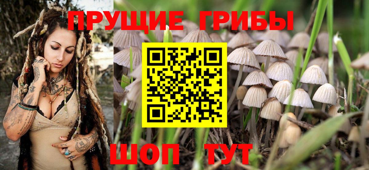Галлюциногенные грибы ЛСД  купить   Старая Купавна  Псилоцибиновые грибы Psilocybine cubensis  Вход с VPN 